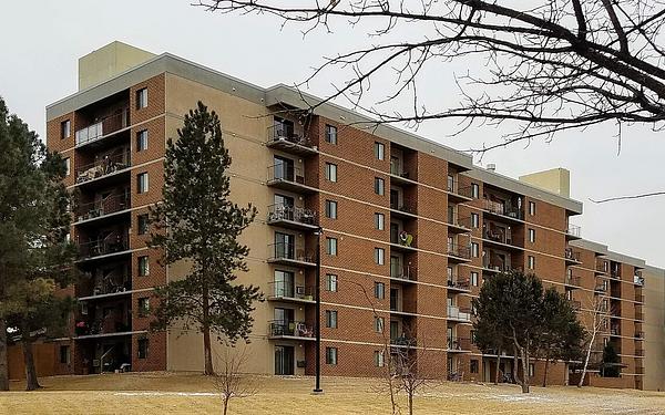 Photo of Ashford Gardens