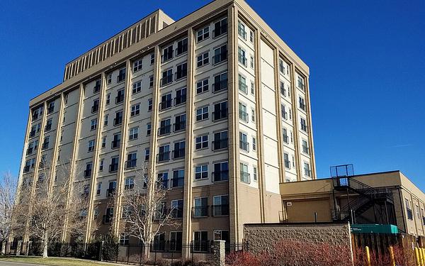 Photo of Elmwood House